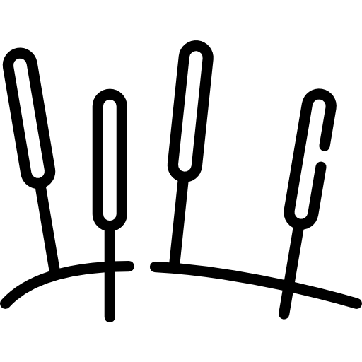 acupuncture icon